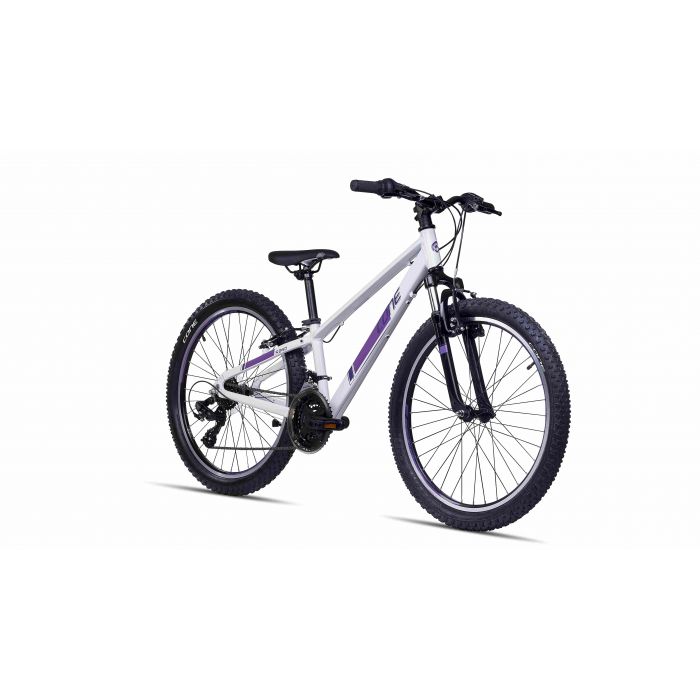 fahrradreifen 26 zoll mountainbike Fincci Paar x 1,95 50-559 Faltbar 60 TPI Reifen für MTB Mountain Hybrid Bike Fahrrad (2er Pack) Color:GOLD PINK Cube Fahrradständer UNIVERSAL - cf_Black