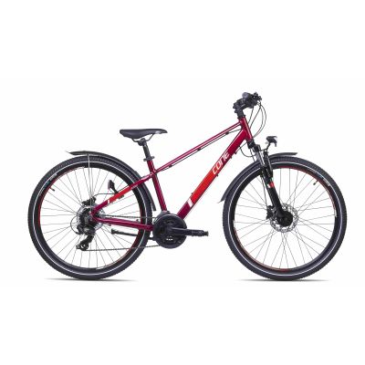 Cone R260 K21 ND FG Disc Allroad